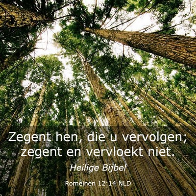 Picture 03 - Romeinen 12:14 NLD - Zegent hen, die u vervolgen; zegent en vervloekt - Bible Verse Picture