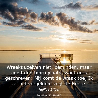 Picture 03 - Romeinen 12:19 NLD - Wreekt uzelven niet, beminden, maar geeft den - Bible Verse Picture