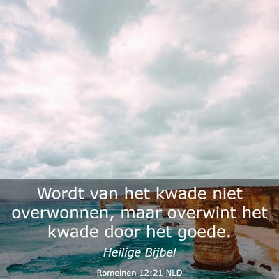 Picture 03 - Romeinen 12:21 NLD - Wordt van het kwade niet overwonnen, maar - Bible Verse Picture