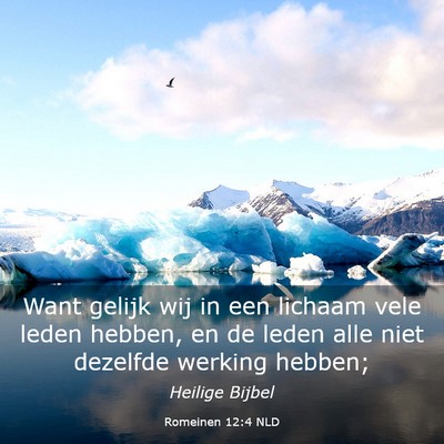 Picture 03 - Romeinen 12:4 NLD - Want gelijk wij in een lichaam vele leden hebben, - Bible Verse Picture