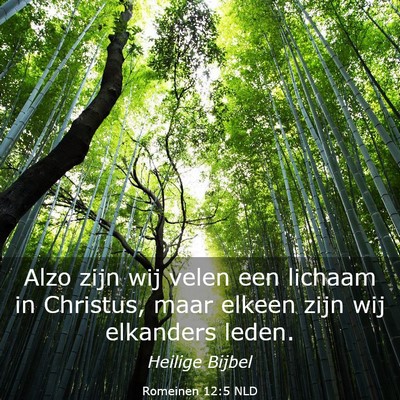 Picture 03 - Romeinen 12:5 NLD - Alzo zijn wij velen een lichaam in Christus, maar - Bible Verse Picture