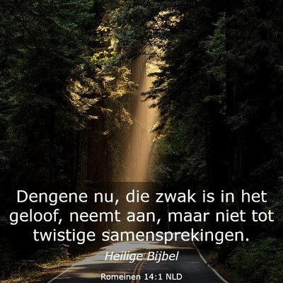 Picture 03 - Romeinen 14:1 NLD - Dengene nu, die zwak is in het geloof, neemt aan, - Bible Verse Picture