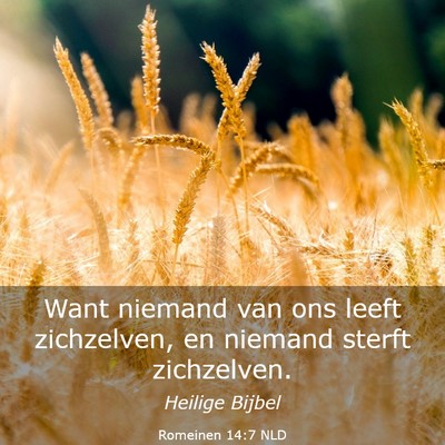 Picture 03 - Romeinen 14:7 NLD - Want niemand van ons leeft zichzelven, en niemand - Bible Verse Picture