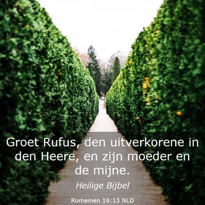 Picture 03 - Romeinen 16:13 NLD - Groet Rufus, den uitverkorene in den Heere, en - Bible Verse Picture