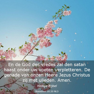 Picture 03 - Romeinen 16:20 NLD - En de God des vredes zal den satan haast onder uw - Bible Verse Picture