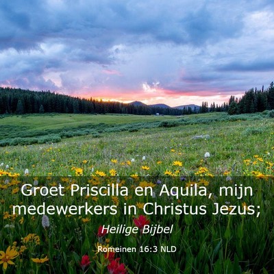 Picture 03 - Romeinen 16:3 NLD - Groet Priscilla en Aquila, mijn medewerkers in - Bible Verse Picture