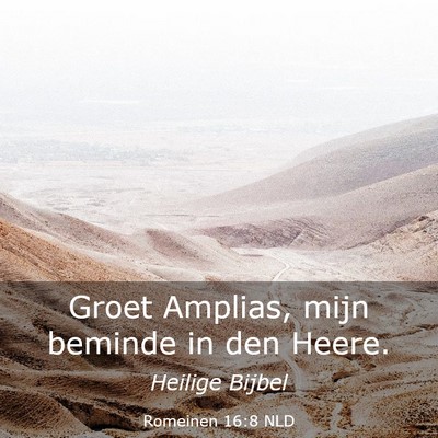 Picture 03 - Romeinen 16:8 NLD - Groet Amplias, mijn beminde in den - Bible Verse Picture