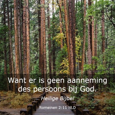 Picture 03 - Romeinen 2:11 NLD - Want er is geen aanneming des persoons bij - Bible Verse Picture