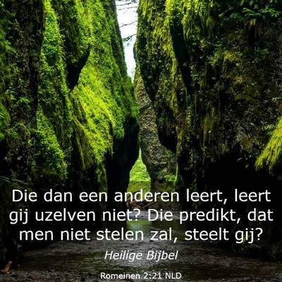 Picture 03 - Romeinen 2:21 NLD - Die dan een anderen leert, leert gij uzelven - Bible Verse Picture