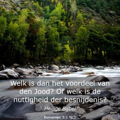 Picture 03 - Romeinen 3:1 NLD - Welk is dan het voordeel van den Jood? Of welk is - Bible Verse Picture
