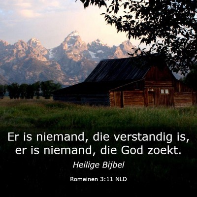 Picture 03 - Romeinen 3:11 NLD - Er is niemand, die verstandig is, er is niemand, - Bible Verse Picture