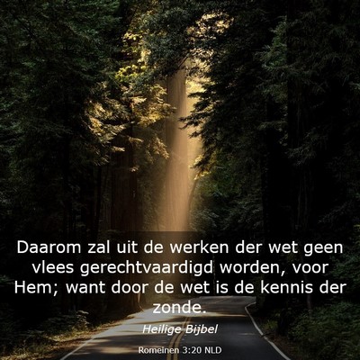 Picture 03 - Romeinen 3:20 NLD - Daarom zal uit de werken der wet geen vlees - Bible Verse Picture