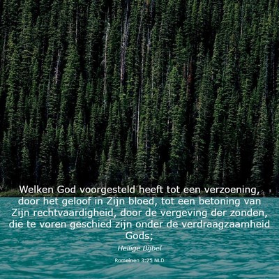 Picture 03 - Romeinen 3:25 NLD - Welken God voorgesteld heeft tot een verzoening, - Bible Verse Picture