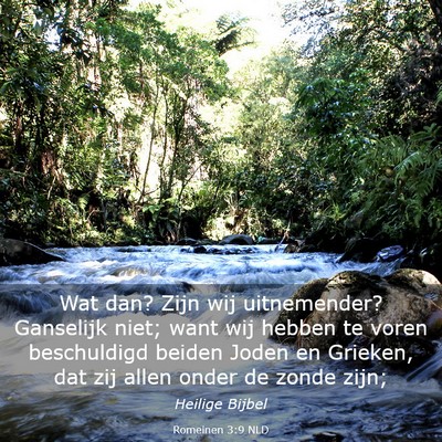 Picture 03 - Romeinen 3:9 NLD - Wat dan? Zijn wij uitnemender? Ganselijk niet; - Bible Verse Picture