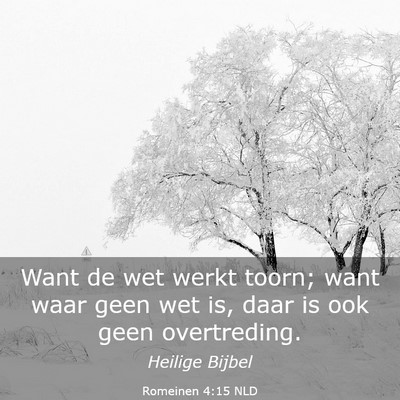 Picture 03 - Romeinen 4:15 NLD - Want de wet werkt toorn; want waar geen wet is, - Bible Verse Picture