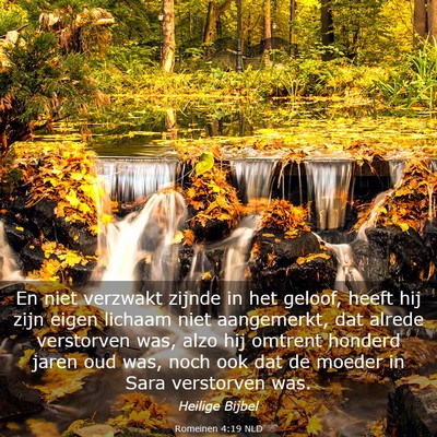 Picture 03 - Romeinen 4:19 NLD - En niet verzwakt zijnde in het geloof, heeft hij - Bible Verse Picture
