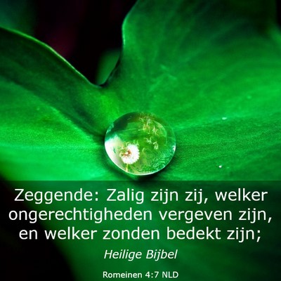 Picture 03 - Romeinen 4:7 NLD - Zeggende: Zalig zijn zij, welker ongerechtigheden - Bible Verse Picture