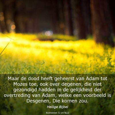 Picture 03 - Romeinen 5:14 NLD - Maar de dood heeft geheerst van Adam tot Mozes - Bible Verse Picture