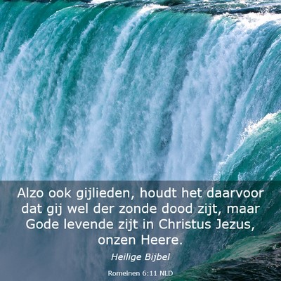 Picture 03 - Romeinen 6:11 NLD - Alzo ook gijlieden, houdt het daarvoor dat gij - Bible Verse Picture