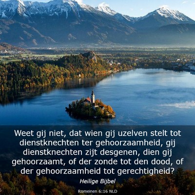 Picture 03 - Romeinen 6:16 NLD - Weet gij niet, dat wien gij uzelven stelt tot - Bible Verse Picture