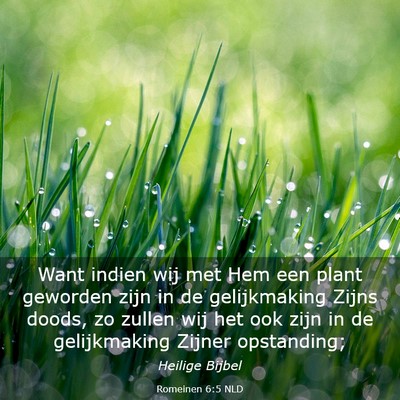 Picture 03 - Romeinen 6:5 NLD - Want indien wij met Hem een plant geworden zijn - Bible Verse Picture