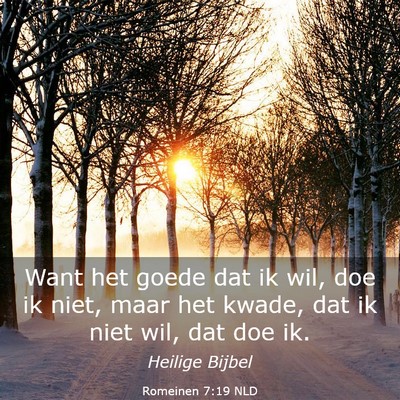 Picture 03 - Romeinen 7:19 NLD - Want het goede dat ik wil, doe ik niet, maar het - Bible Verse Picture