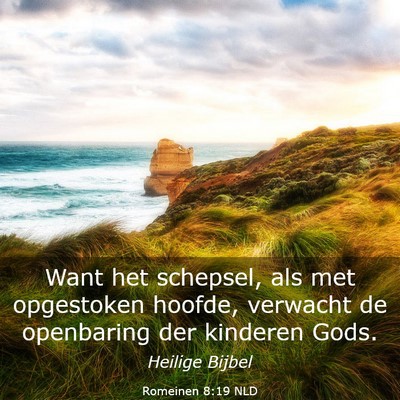 Picture 03 - Romeinen 8:19 NLD - Want het schepsel, als met opgestoken hoofde, - Bible Verse Picture