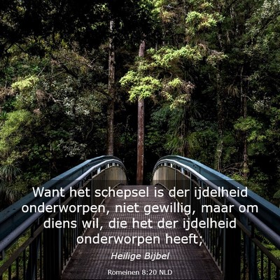 Picture 03 - Romeinen 8:20 NLD - Want het schepsel is der ijdelheid onderworpen, - Bible Verse Picture