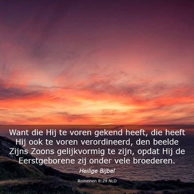 Picture 03 - Romeinen 8:29 NLD - Want die Hij te voren gekend heeft, die heeft Hij - Bible Verse Picture