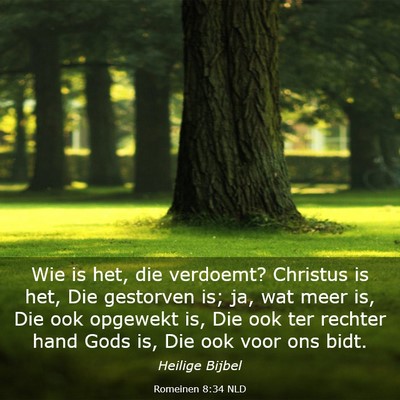 Picture 03 - Romeinen 8:34 NLD - Wie is het, die verdoemt? Christus is het, Die - Bible Verse Picture