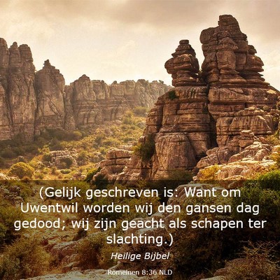 Picture 03 - Romeinen 8:36 NLD - (Gelijk geschreven is: Want om Uwentwil worden - Bible Verse Picture