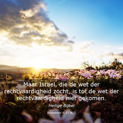 Picture 03 - Romeinen 9:31 NLD - Maar Israel, die de wet der rechtvaardigheid - Bible Verse Picture