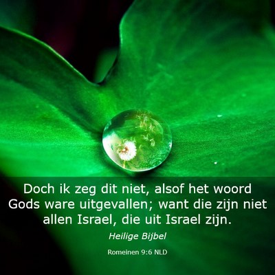 Picture 03 - Romeinen 9:6 NLD - Doch ik zeg dit niet, alsof het woord Gods ware - Bible Verse Picture