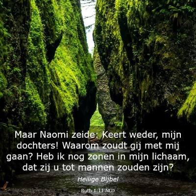Picture 03 - Ruth 1:11 NLD - Maar Naomi zeide: Keert weder, mijn dochters! - Bible Verse Picture