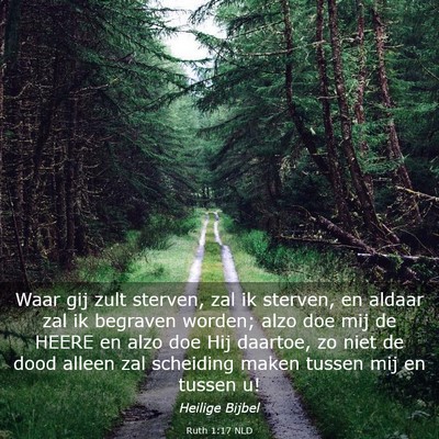 Picture 03 - Ruth 1:17 NLD - Waar gij zult sterven, zal ik sterven, en aldaar - Bible Verse Picture
