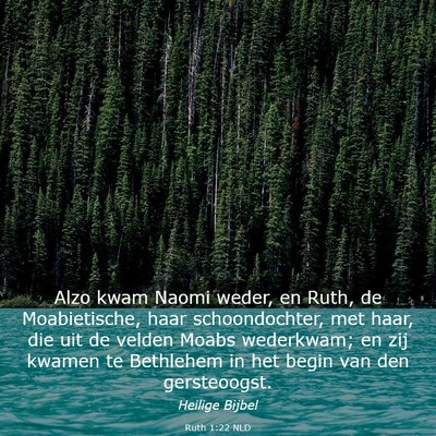 Picture 03 - Ruth 1:22 NLD - Alzo kwam Naomi weder, en Ruth, de Moabietische, - Bible Verse Picture