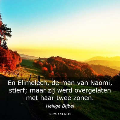 Picture 03 - Ruth 1:3 NLD - En Elimelech, de man van Naomi, stierf; maar zij - Bible Verse Picture