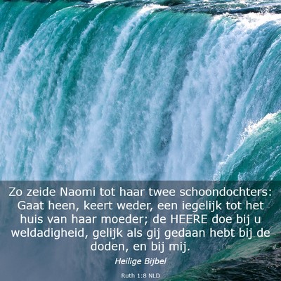 Picture 03 - Ruth 1:8 NLD - Zo zeide Naomi tot haar twee schoondochters: Gaat - Bible Verse Picture