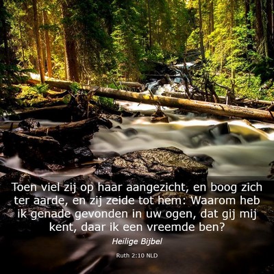 Picture 03 - Ruth 2:10 NLD - Toen viel zij op haar aangezicht, en boog zich - Bible Verse Picture