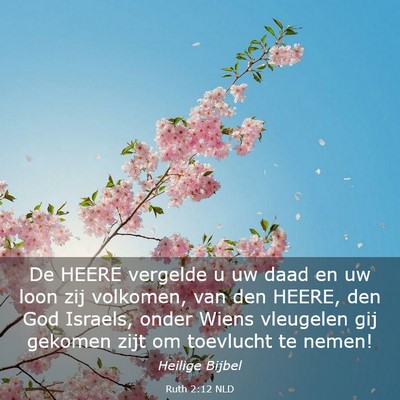 Picture 03 - Ruth 2:12 NLD - De HEERE vergelde u uw daad en uw loon zij - Bible Verse Picture