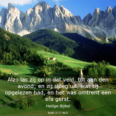 Picture 03 - Ruth 2:17 NLD - Alzo las zij op in dat veld, tot aan den avond; - Bible Verse Picture