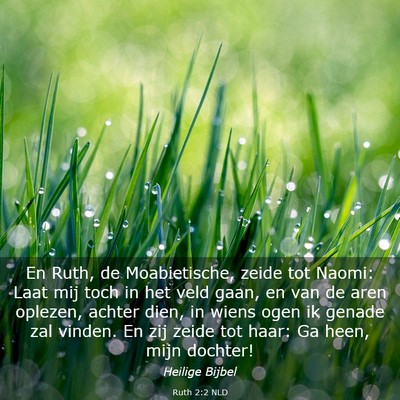 Picture 03 - Ruth 2:2 NLD - En Ruth, de Moabietische, zeide tot Naomi: Laat - Bible Verse Picture