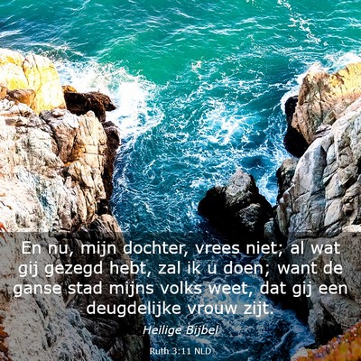 Picture 03 - Ruth 3:11 NLD - En nu, mijn dochter, vrees niet; al wat gij - Bible Verse Picture