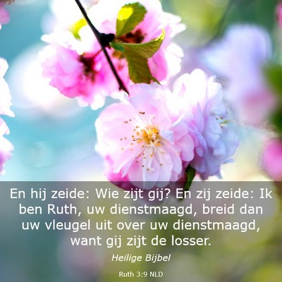 Picture 03 - Ruth 3:9 NLD - En hij zeide: Wie zijt gij? En zij zeide: Ik ben - Bible Verse Picture