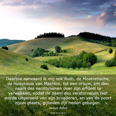 Picture 03 - Ruth 4:10 NLD - Daartoe aanvaard ik mij ook Ruth, de - Bible Verse Picture