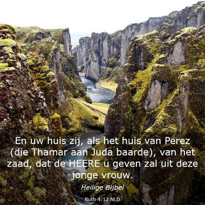 Picture 03 - Ruth 4:12 NLD - En uw huis zij, als het huis van Perez (die - Bible Verse Picture