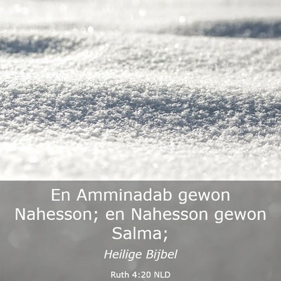 Picture 03 - Ruth 4:20 NLD - En Amminadab gewon Nahesson; en Nahesson gewon - Bible Verse Picture