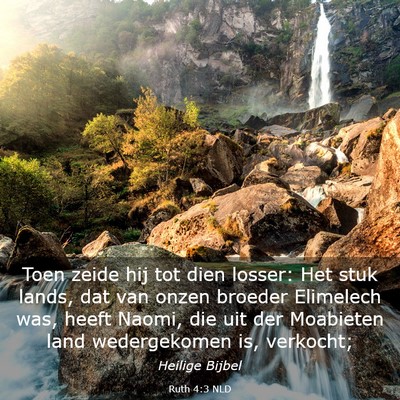 Picture 03 - Ruth 4:3 NLD - Toen zeide hij tot dien losser: Het stuk lands, - Bible Verse Picture