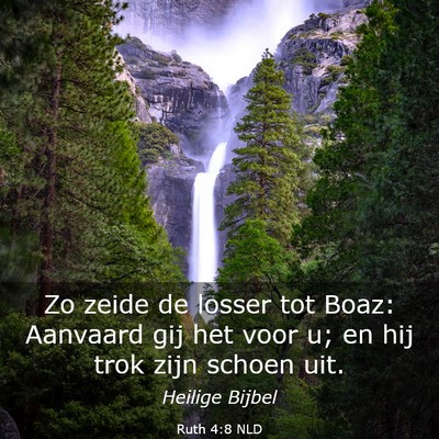 Picture 03 - Ruth 4:8 NLD - Zo zeide de losser tot Boaz: Aanvaard gij het - Bible Verse Picture