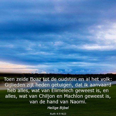 Picture 03 - Ruth 4:9 NLD - Toen zeide Boaz tot de oudsten en al het volk: - Bible Verse Picture
